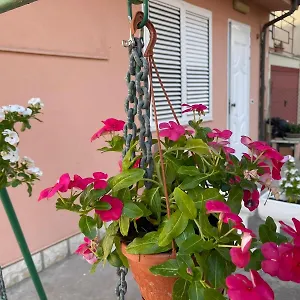  Appartamento I Colori Della Quiete